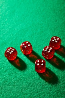 bibit168 Bingo